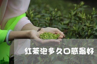 红茶泡多久口感最好/2023041527481