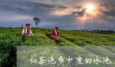 红茶泡多少度的水泡/2023041487350