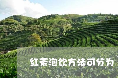 红茶泡饮方法可分为/2023041496361