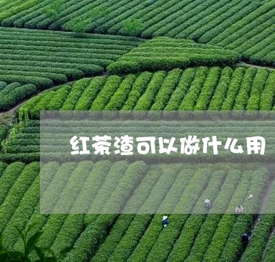 红茶渣可以做什么用/2023031941694