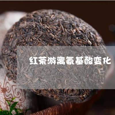 红茶游离氨基酸变化/2023031827573