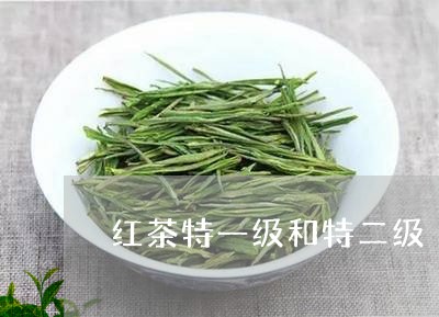 红茶特一级和特二级/2023031892059