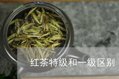 红茶特级和一级区别/2023031930404