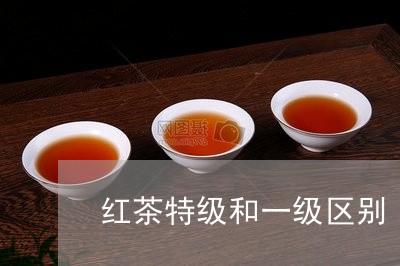 红茶特级和一级区别/2023041549471