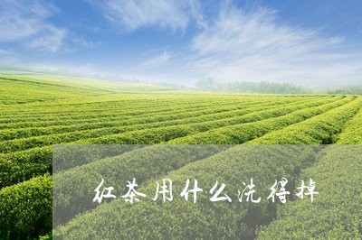 红茶用什么洗得掉/2023032324735