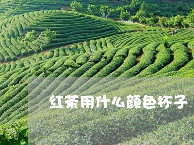 红茶用什么颜色杯子/2023031925260