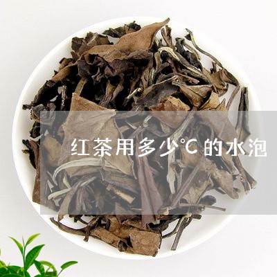 红茶用多少℃的水泡/2023041459702