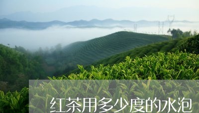 红茶用多少度的水泡/2023031888582