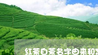 红茶白茶名字由来和寓意/2023032746068