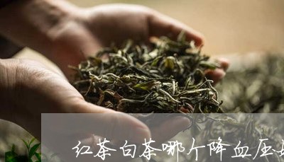 红茶白茶哪个降血压好些/2023032751926