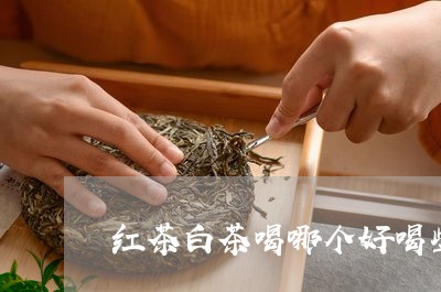 红茶白茶喝哪个好喝些呢/2023032728140