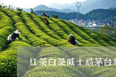 红茶白茶威士忌茅台拿铁/2023032761603