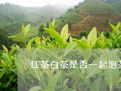 红茶白茶是否一起泡茶喝/2023032716472