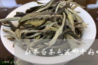 红茶白茶毛尖哪个好喝些/2023032796140