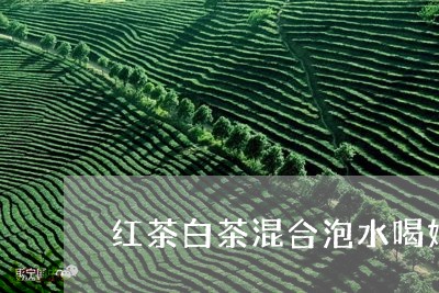 红茶白茶混合泡水喝好吗/2023032743835