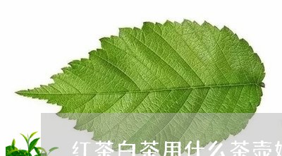 红茶白茶用什么茶壶好看/2023032730524