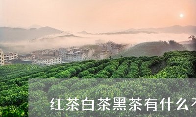 红茶白茶黑茶有什么不同/2023032792716