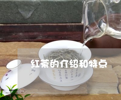 红茶的介绍和特点/2023032512626