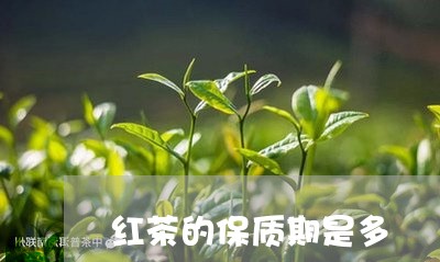 红茶的保质期是多/2023032141494