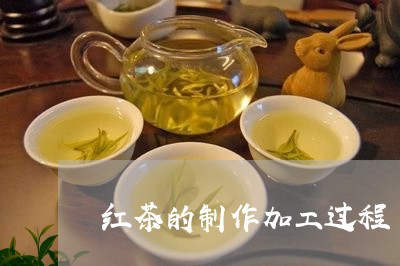 红茶的制作加工过程/2023041656247