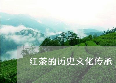 红茶的历史文化传承/2023041693048