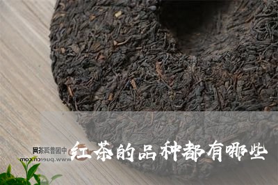 红茶的品种都有哪些/2023041724726