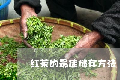 红茶的最佳储存方法/2023032126249