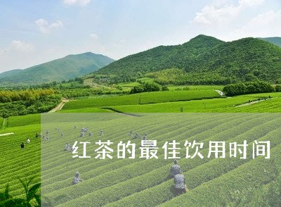 红茶的最佳饮用时间/2023041675259