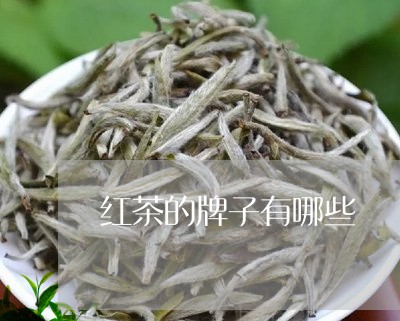 红茶的牌子有哪些/2023032451726