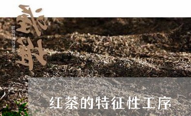 红茶的特征性工序/2023032442504