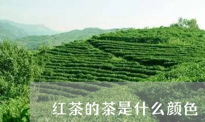 红茶的茶是什么颜色/2023041743027