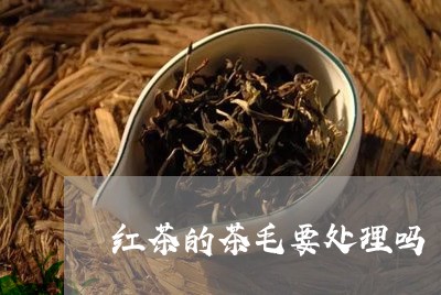 红茶的茶毛要处理吗/2023032118371