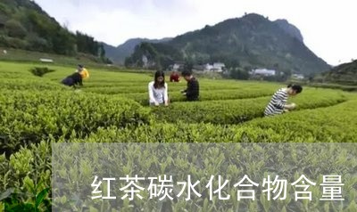 红茶碳水化合物含量/2023031893170