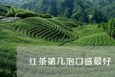 红茶第几泡口感最好/2023041568483