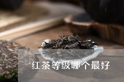 红茶等级哪个最好/2023032341726