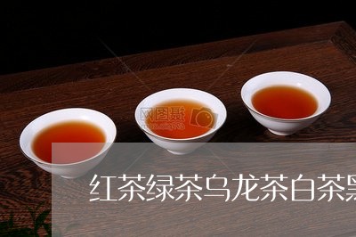 红茶绿茶乌龙茶白茶黑茶/2023032762714