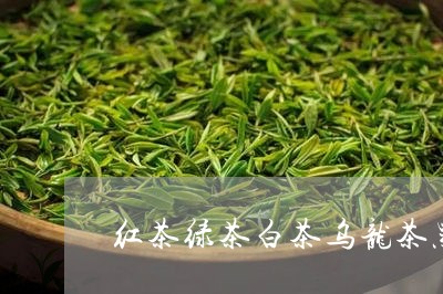 红茶绿茶白茶乌龙茶黑茶/2023032797281