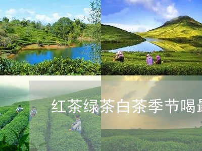 红茶绿茶白茶季节喝最好/2023032793837