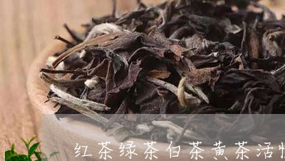 红茶绿茶白茶黄茶活性酶/2023032731815