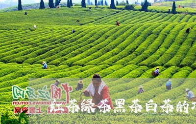 红茶绿茶黑茶白茶的功效/2023032703838