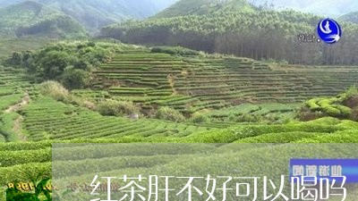 红茶肝不好可以喝吗/2023031961705