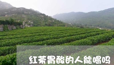 红茶胃酸的人能喝吗/2023041551736