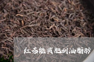 红茶能减肥刮油脂肪/2023032123815