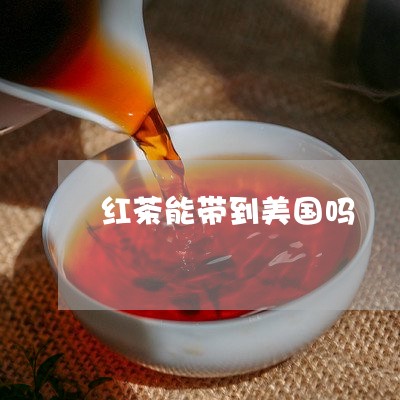 红茶能带到美国吗/2023032381725