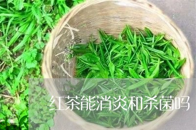 红茶能消炎和杀菌吗/2023031913945