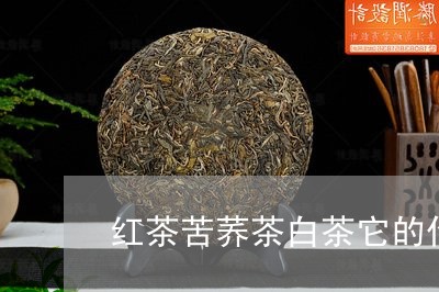 红茶苦荞茶白茶它的作用/2023032737479