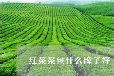 红茶茶包什么牌子好/2023031899371