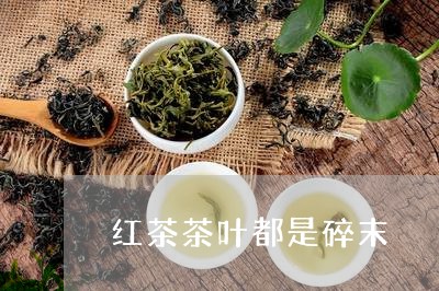 红茶茶叶都是碎末/2023032702627