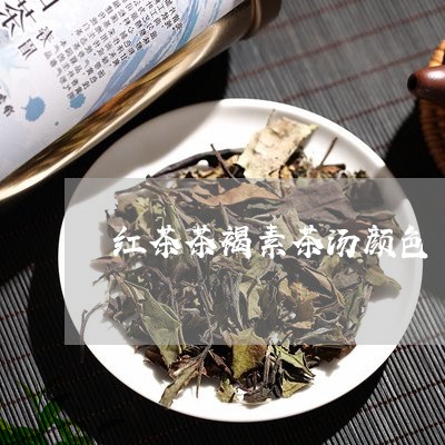 红茶茶褐素茶汤颜色/2023031879593