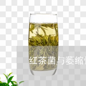 红茶菌与萎缩性胃炎/2023041519380